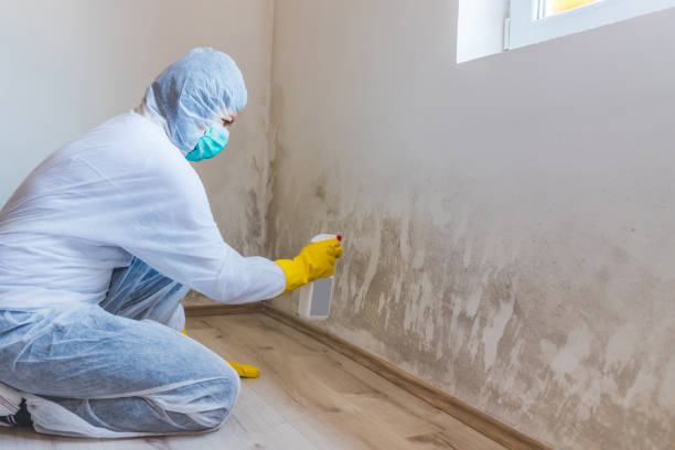 Best Emergency Mold Removal  in Tecumseh, OK