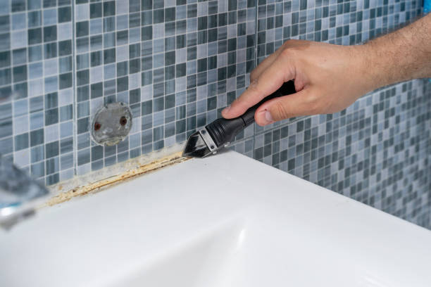 Tecumseh, OK Mold Removal Pros