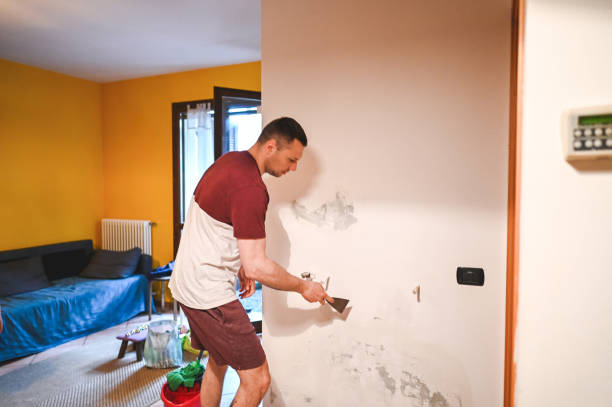 Best Mold Damage Repair  in Tecumseh, OK