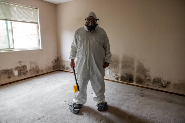 Best Same-Day Mold Removal  in Tecumseh, OK