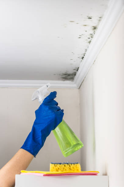 Best Crawl Space Mold Removal  in Tecumseh, OK